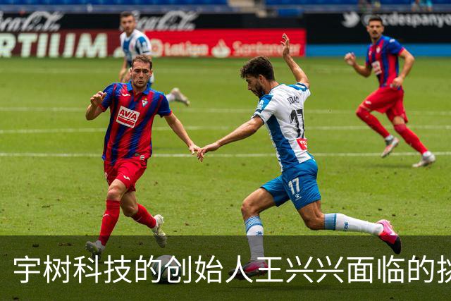 宇树科技的创始人王兴兴面临的挑战与风险